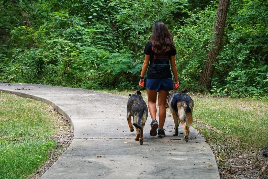 Off Leash K9 Training Springfield - Branson, MO