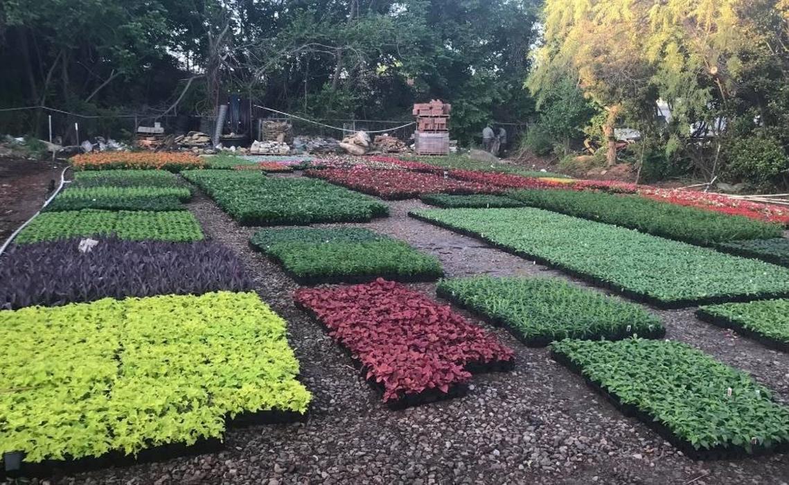 Terrascapes - Total Landscape Services - Oklahoma City, OK