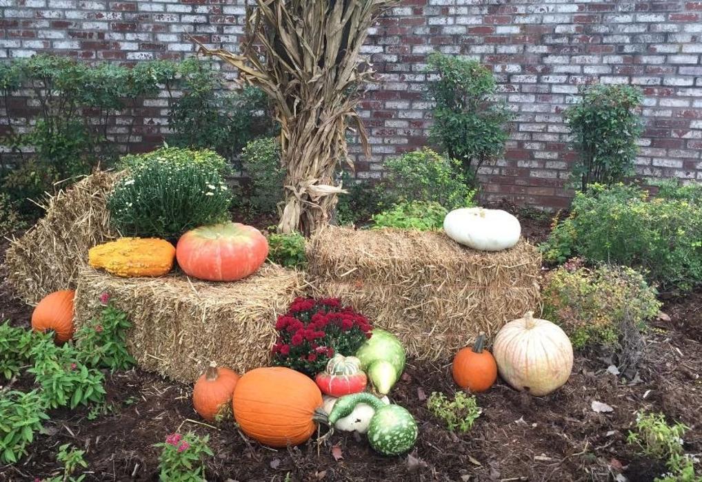 Terrascapes - Total Landscape Services - Oklahoma City, OK