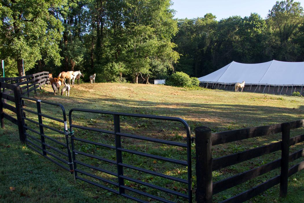 Congressional School - Falls Church, VA