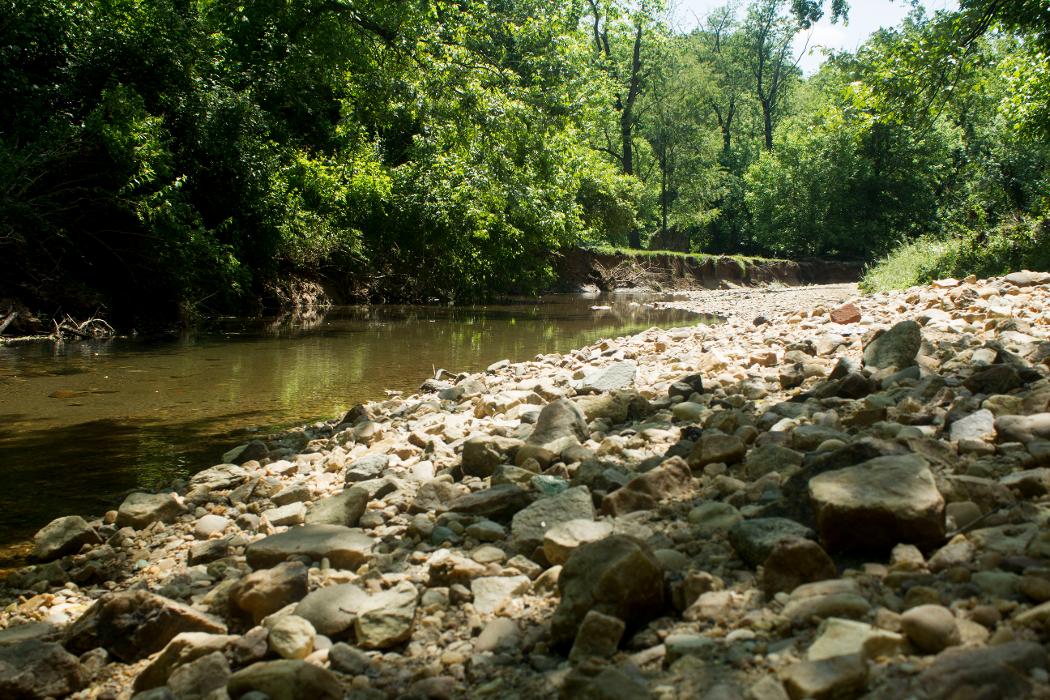 Congressional School - Falls Church, VA