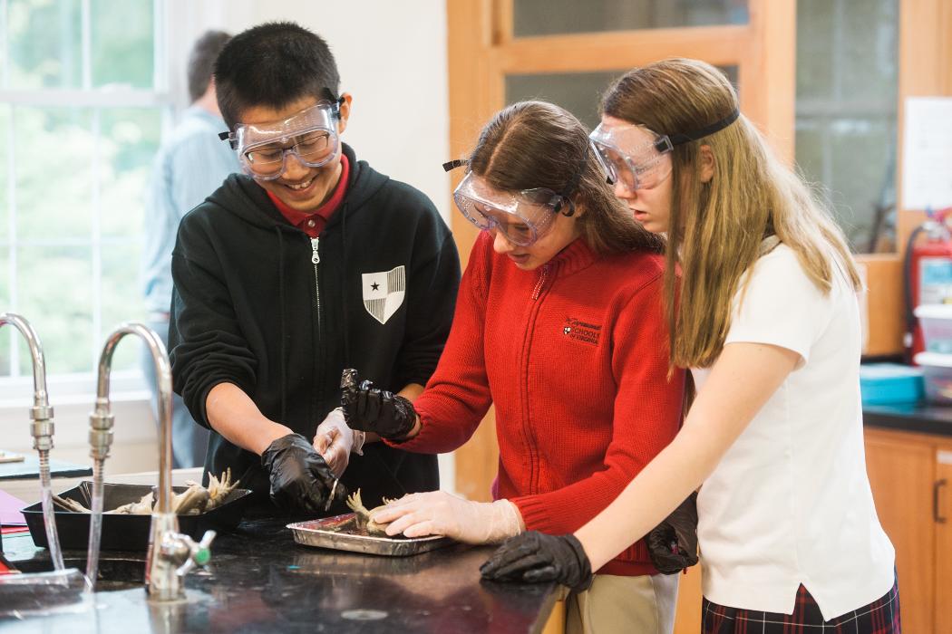 Congressional School - Falls Church, VA