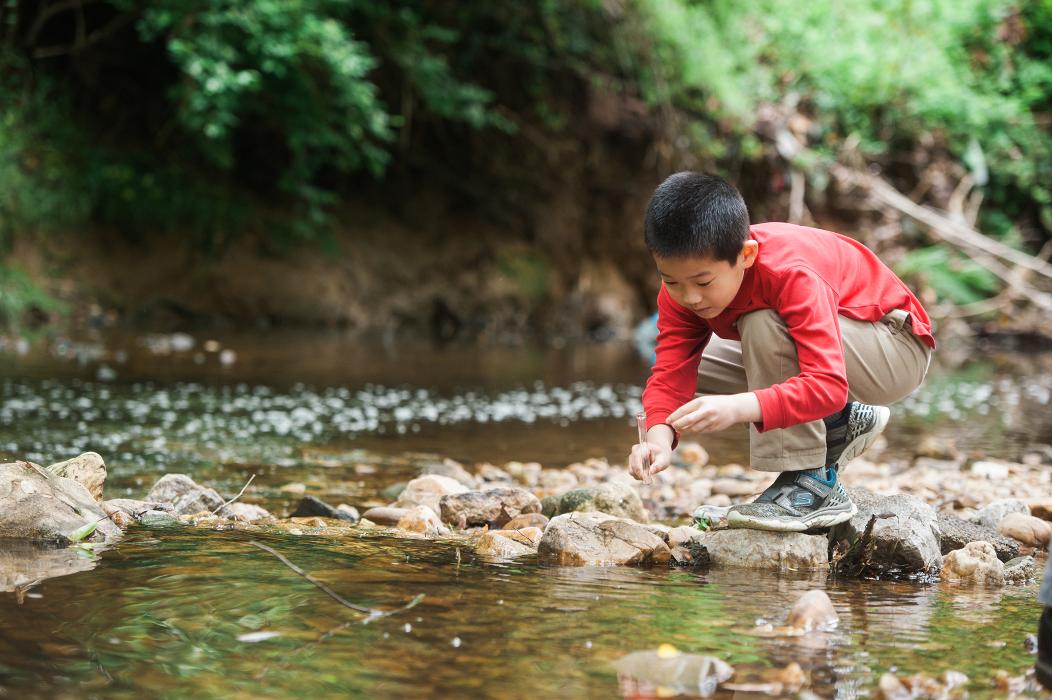 Congressional School - Falls Church, VA