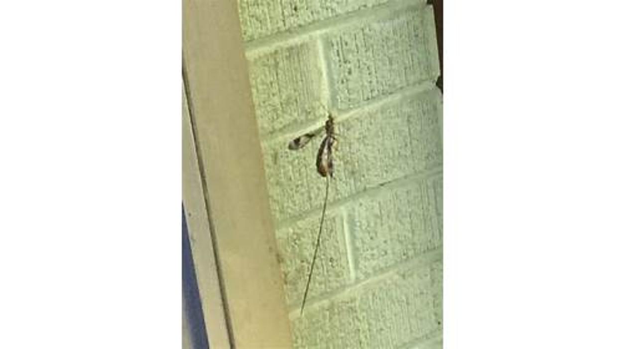 The Salvation Army Family Store & Donation Center Image