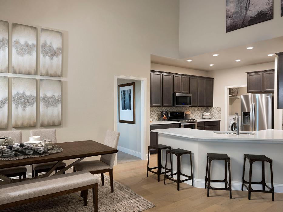 CLOSED - Willow Wood by Meritage Homes - Rowlett, TX