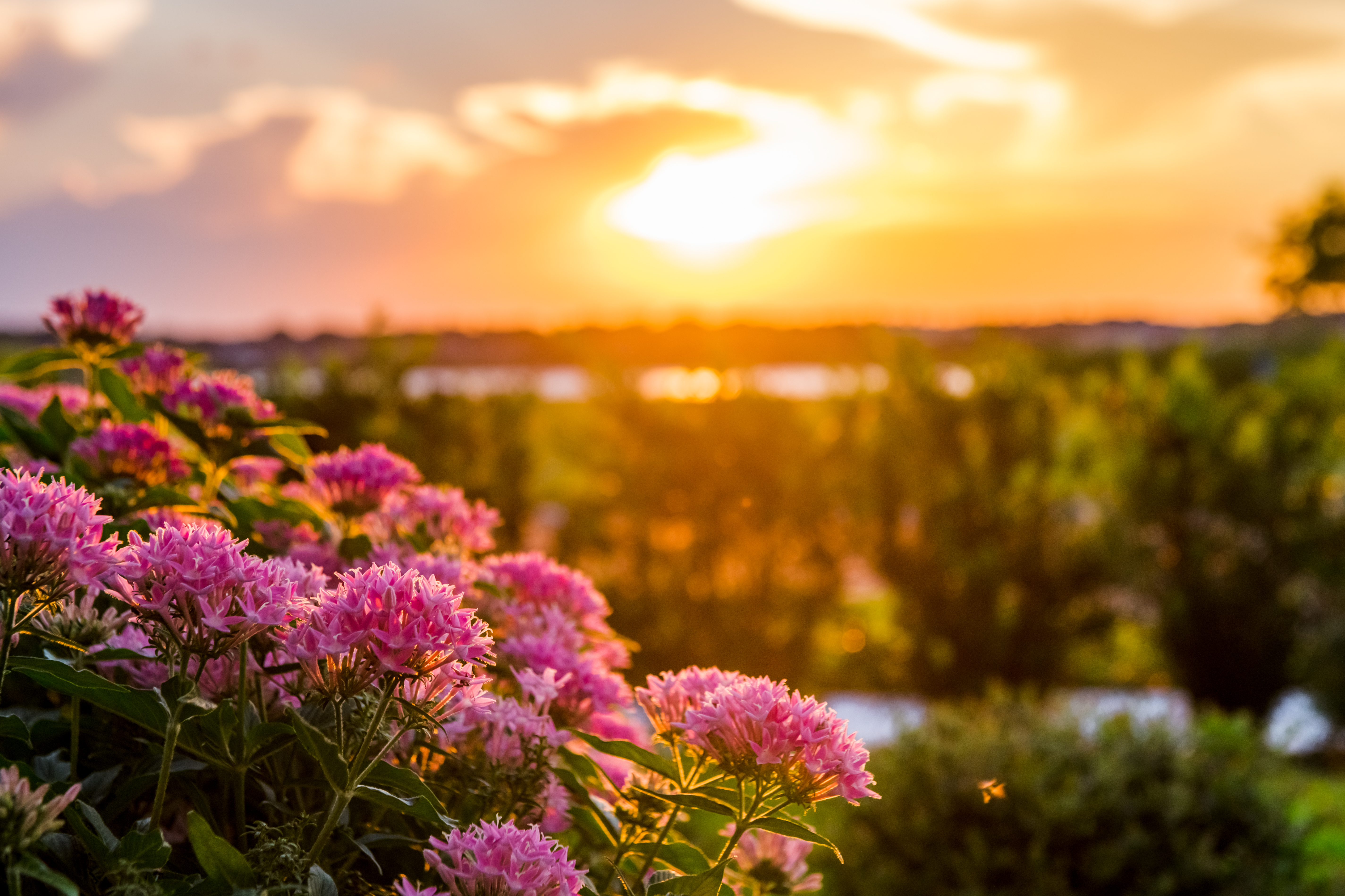 Sand Lake Sound by Meritage Homes Image