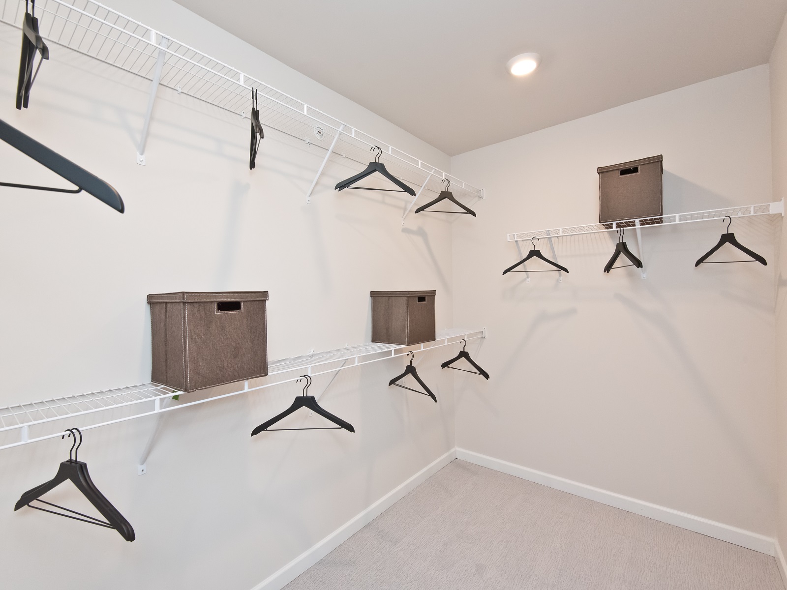 Tramore Square by Meritage Homes Image