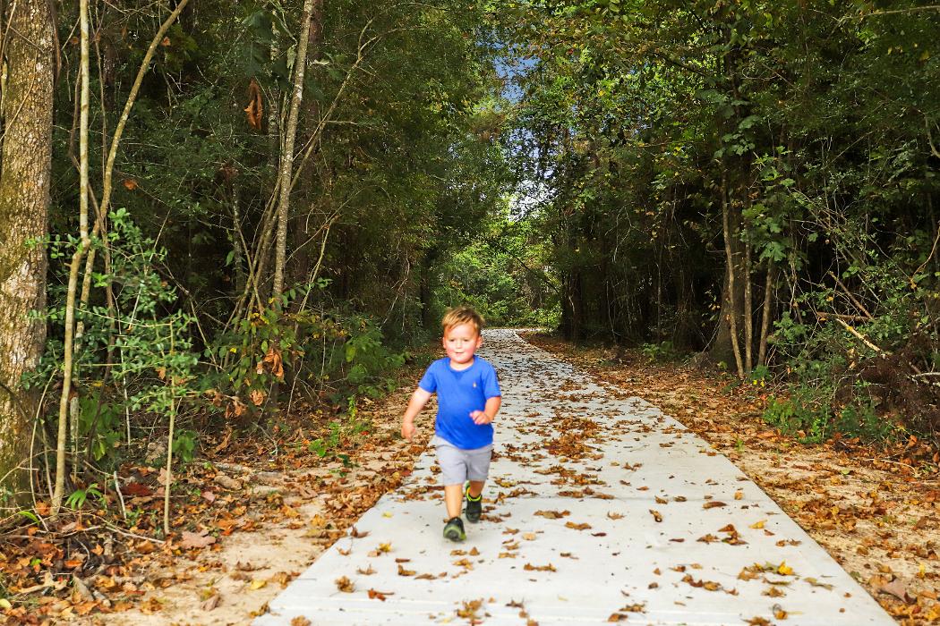 CLOSED - Tavola by Meritage Homes - New Caney, TX