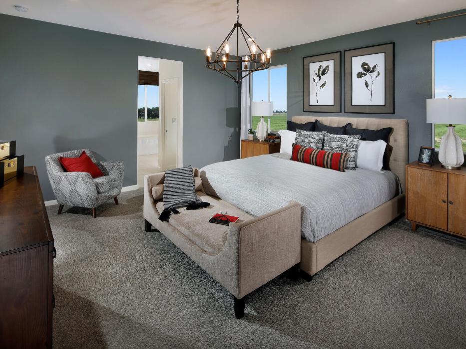 CLOSED - Zinnia at Terra Ranch by Meritage Homes - Manteca, CA