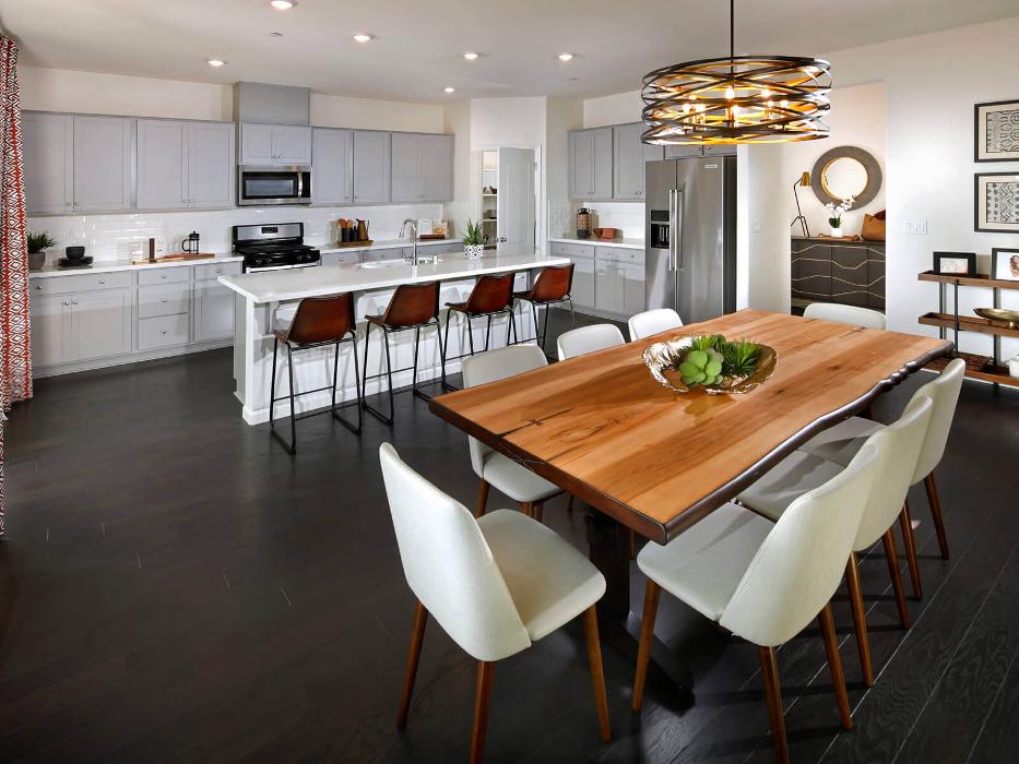 CLOSED - Zinnia at Terra Ranch by Meritage Homes - Manteca, CA