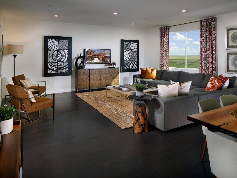 CLOSED - Zinnia at Terra Ranch by Meritage Homes - Manteca, CA