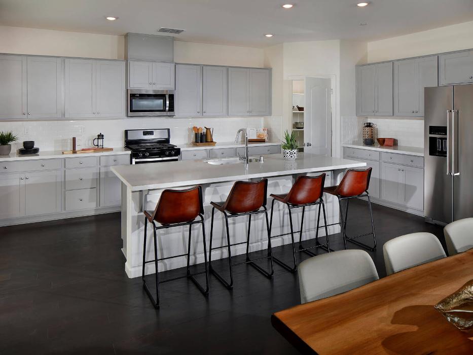 CLOSED - Zinnia at Terra Ranch by Meritage Homes - Manteca, CA