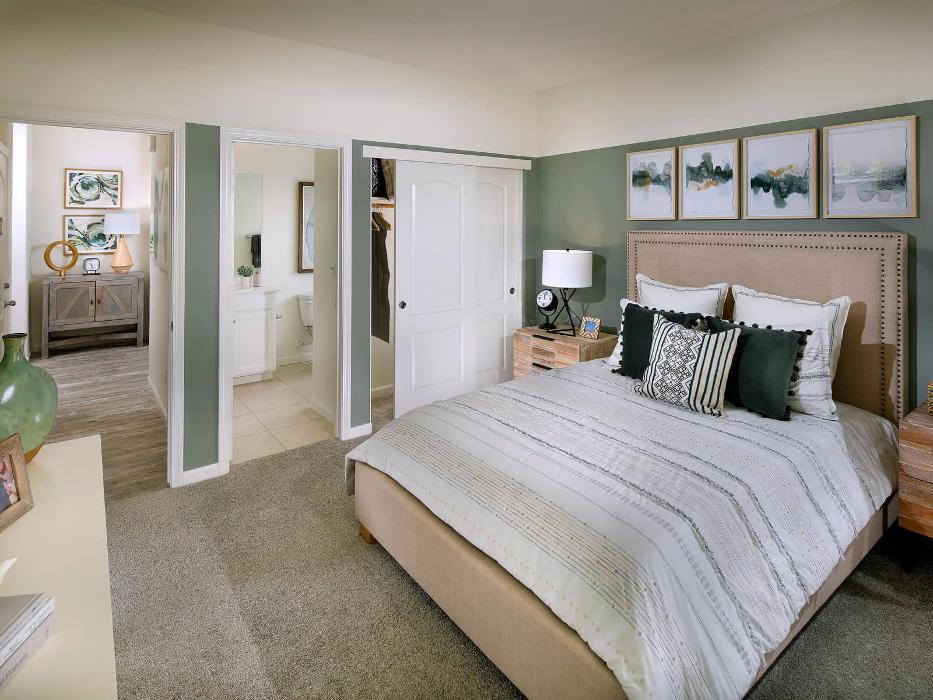 CLOSED - Zinnia at Terra Ranch by Meritage Homes - Manteca, CA