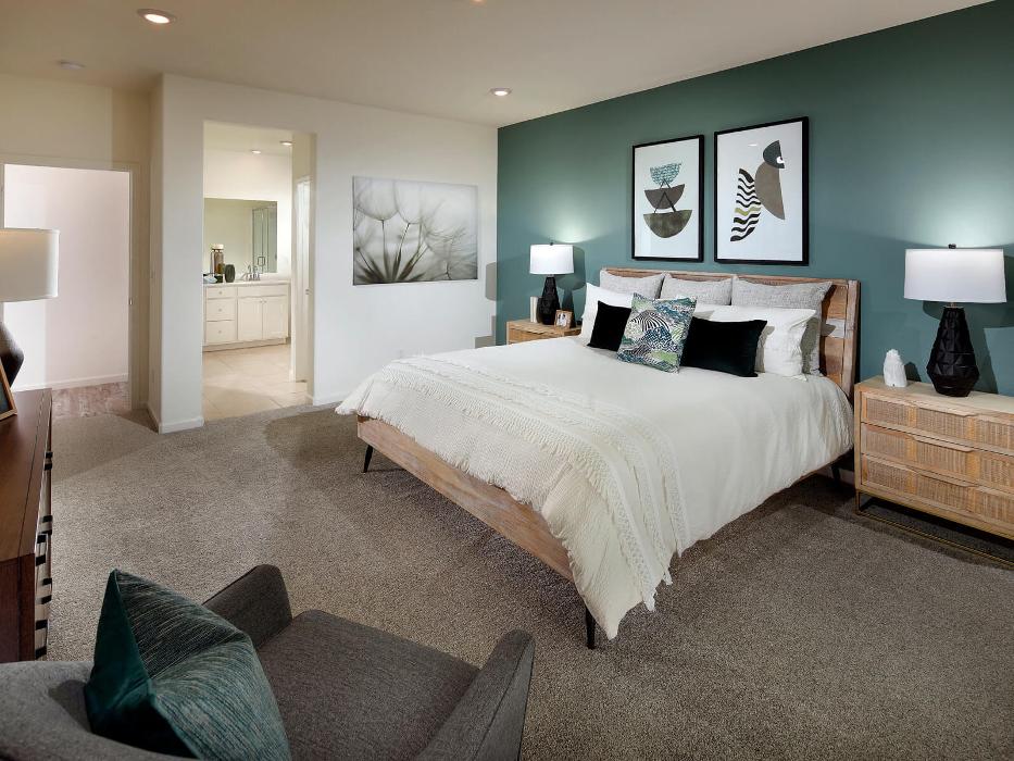 CLOSED - Zinnia at Terra Ranch by Meritage Homes - Manteca, CA