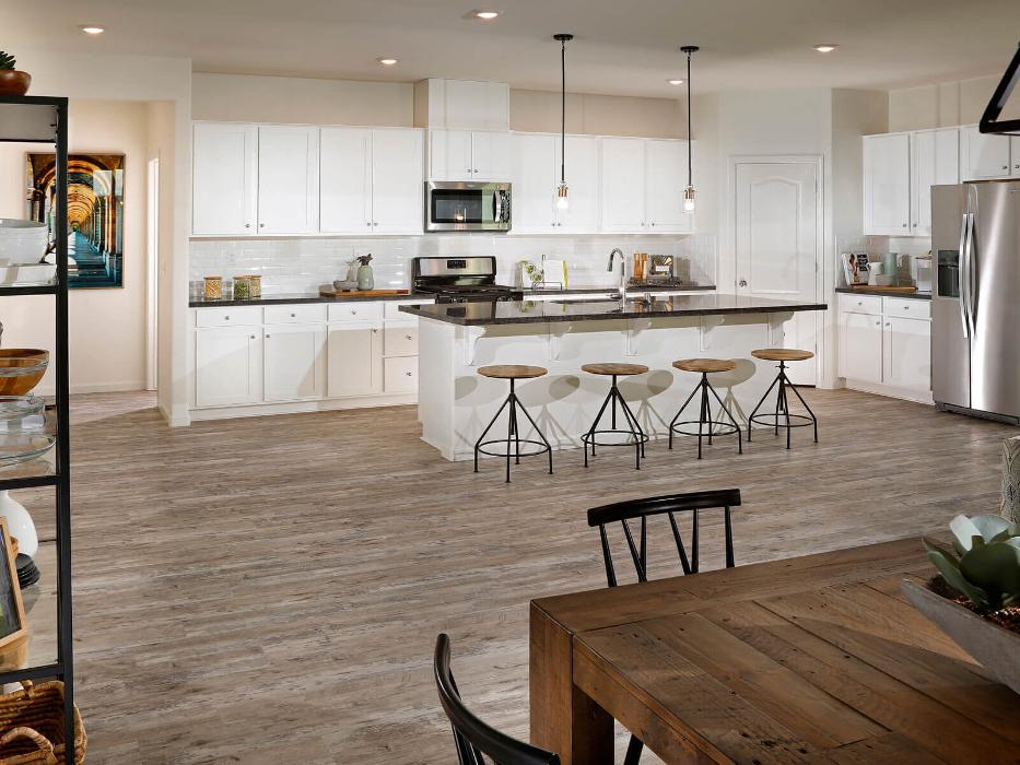 CLOSED - Zinnia at Terra Ranch by Meritage Homes - Manteca, CA