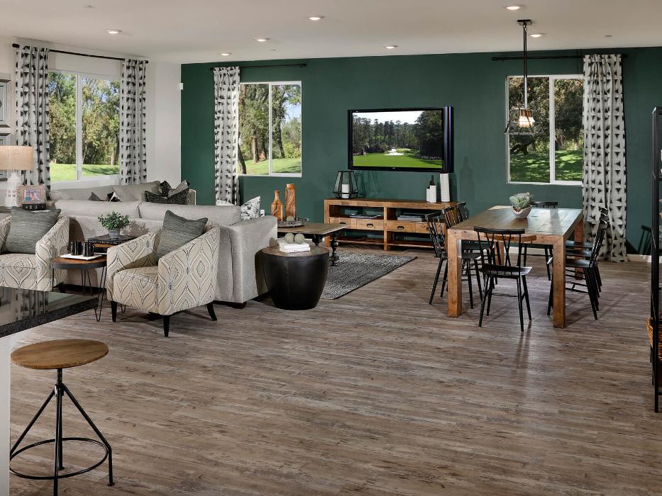 CLOSED - Zinnia at Terra Ranch by Meritage Homes - Manteca, CA