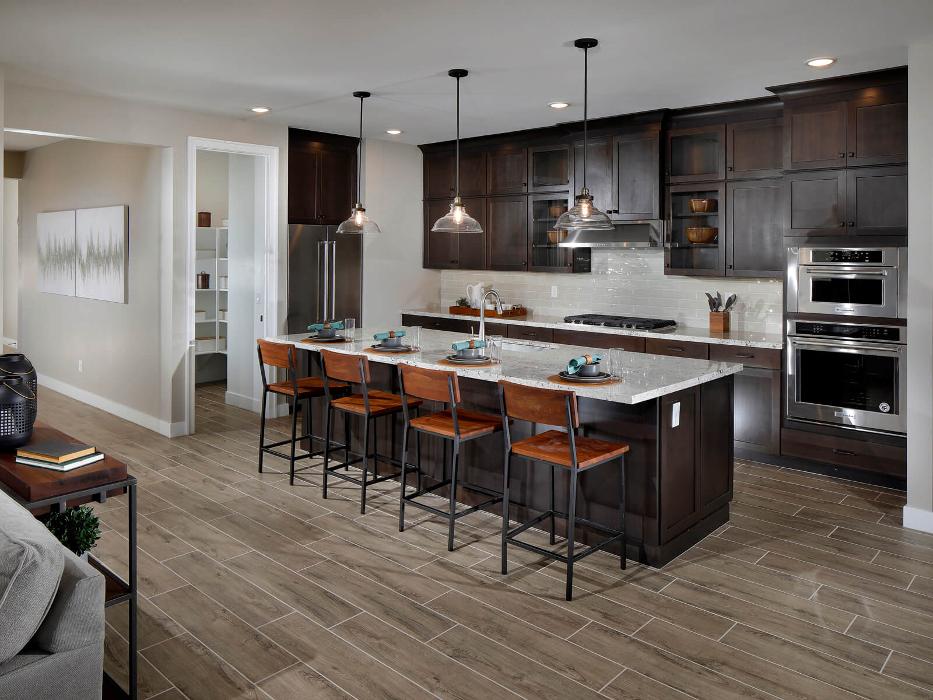 CLOSED - Vistas at Palm Valley by Meritage Homes - Goodyear, AZ