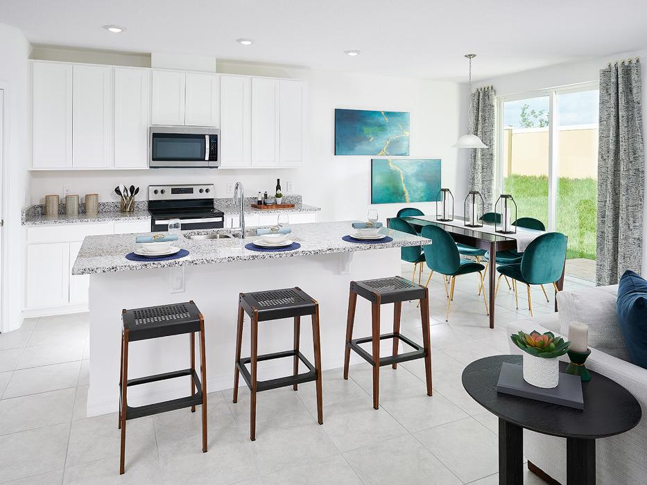 CLOSED - Orchid Terrace by Meritage Homes - Haines City, FL