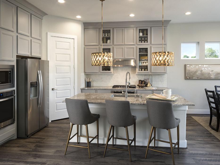 Spring Brook Village - Executive Home Collection by Meritage Homes - Houston, TX