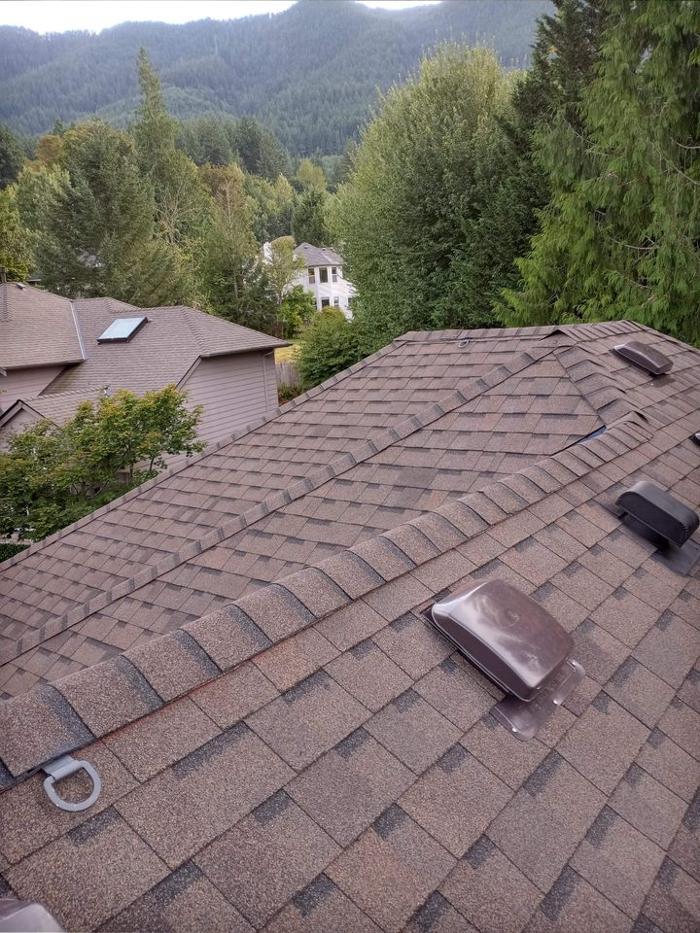 Blue Angels Prestige LLC - Marysville, WA