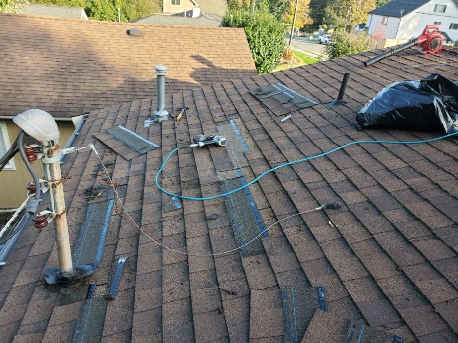 Blue Angels Prestige LLC - Marysville, WA