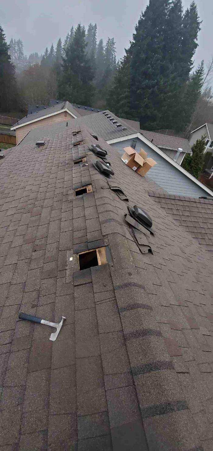 Blue Angels Prestige LLC - Marysville, WA