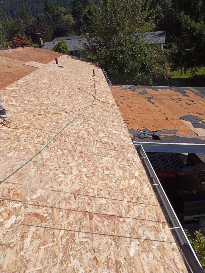 Blue Angels Prestige LLC - Marysville, WA