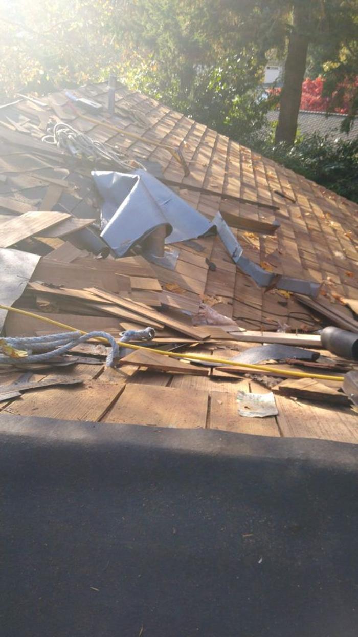 Blue Angels Prestige LLC - Marysville, WA