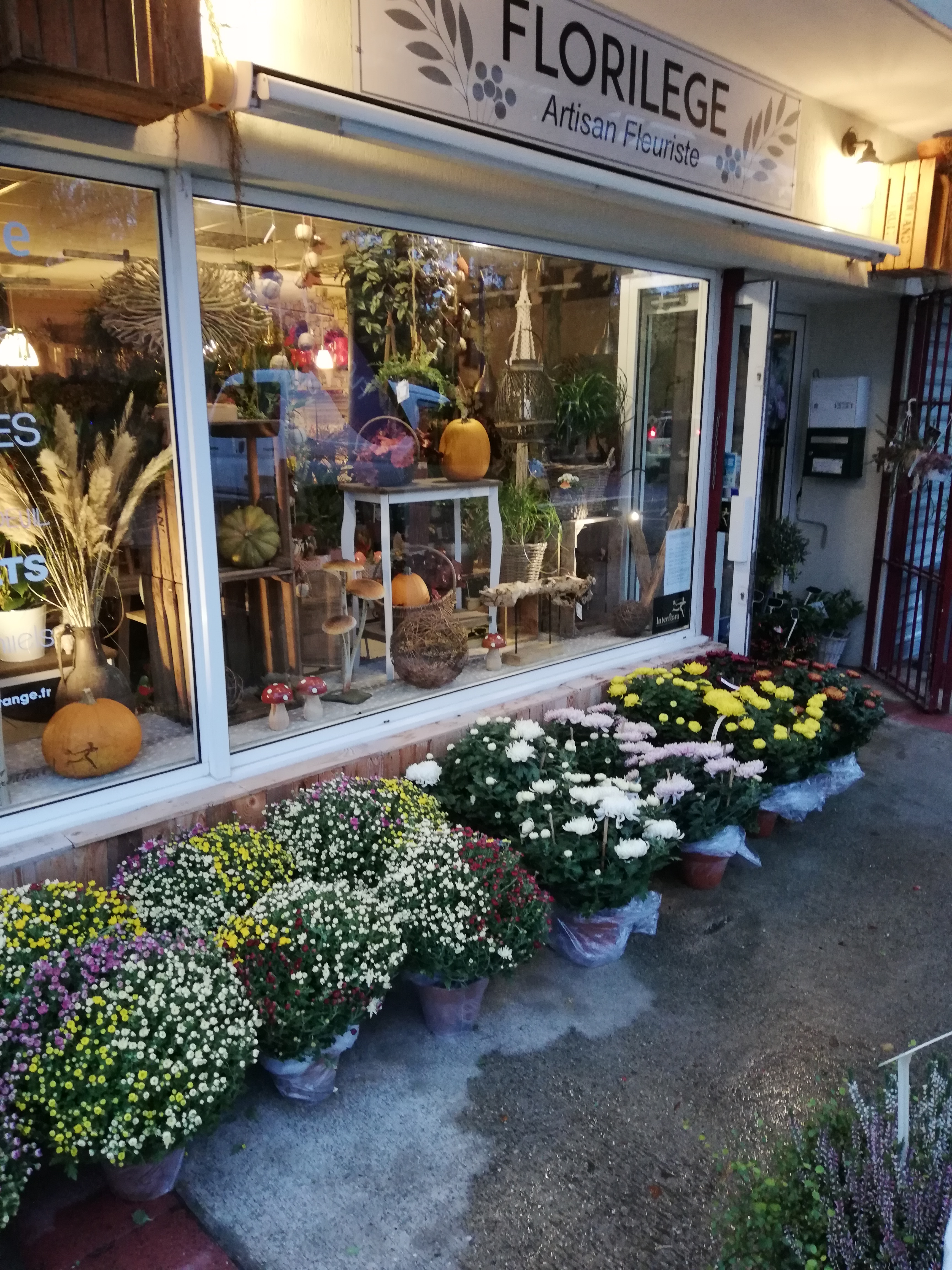 Miniature de la galerie