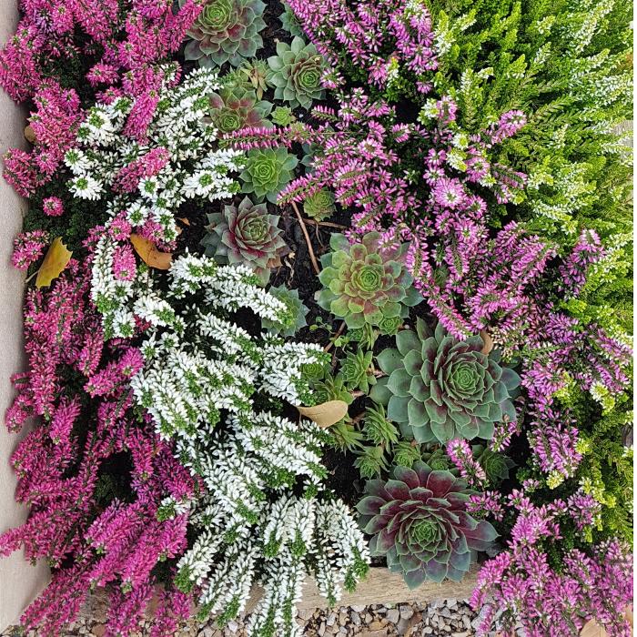 Grabpfelge Berlin by Green Queen Flower, Georgenstraße in Berlin