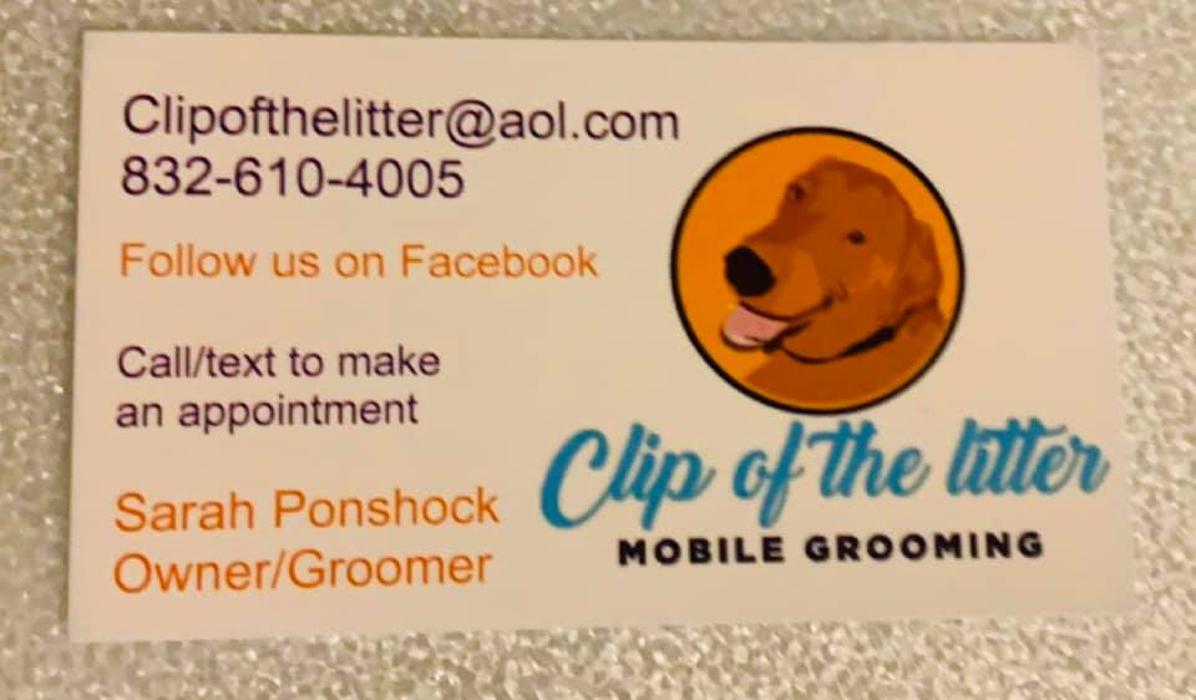 Clip Of The Litter Mobile Grooming - Conroe, TX