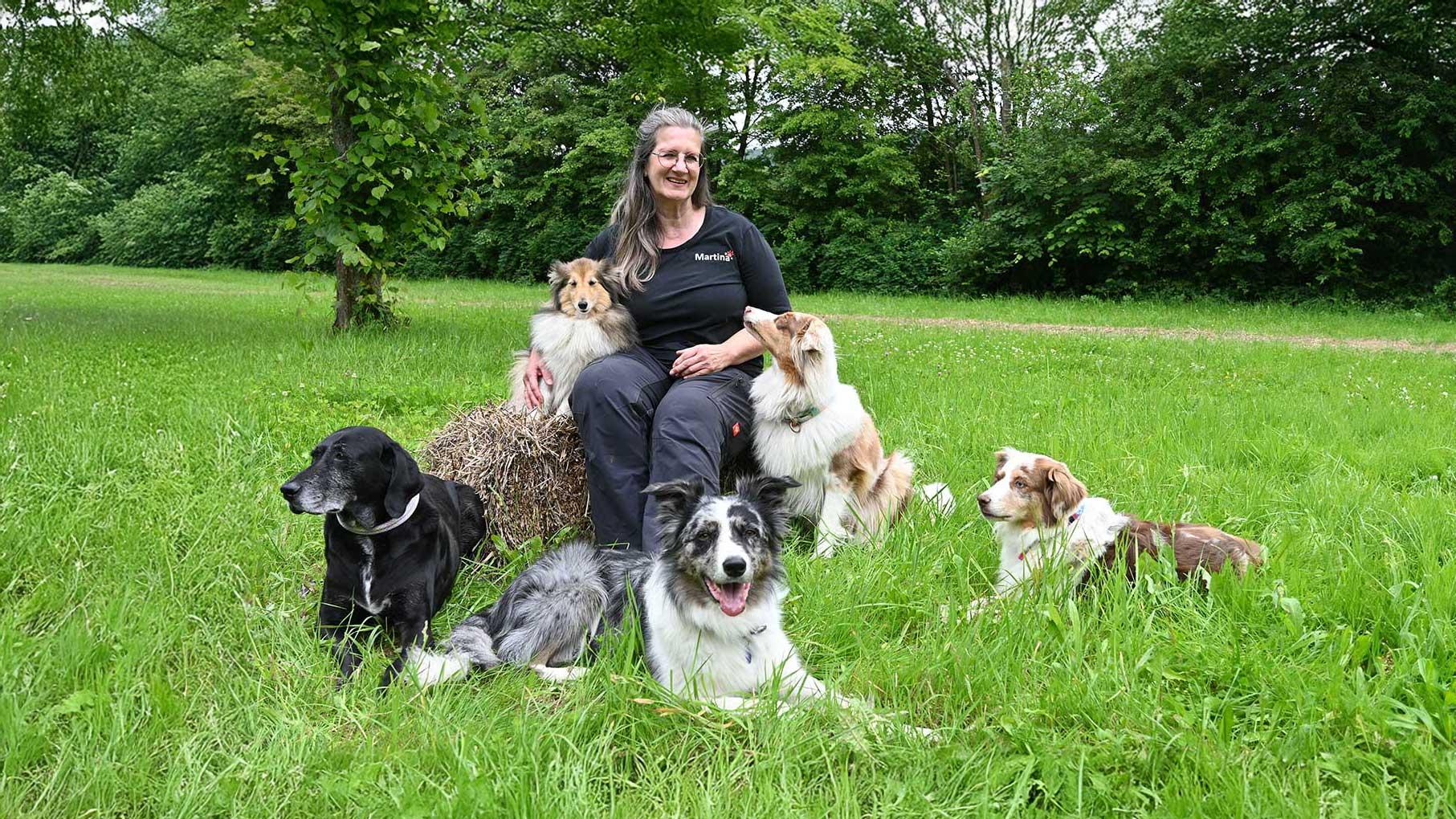 M-DOG Hundeschule, Freiherr-vom-Stein-Straße in Niedernhausen