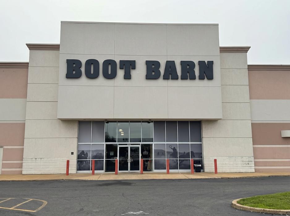Alexandria - Store Image