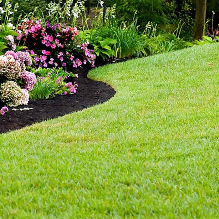 Lawn Care by Lars - Canoga Park, CA