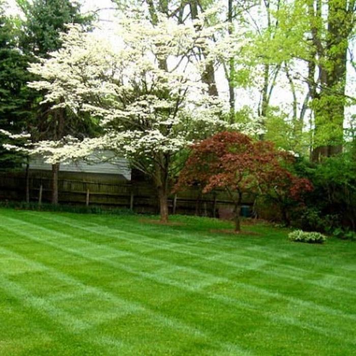 Lawn Care by Lars - Canoga Park, CA