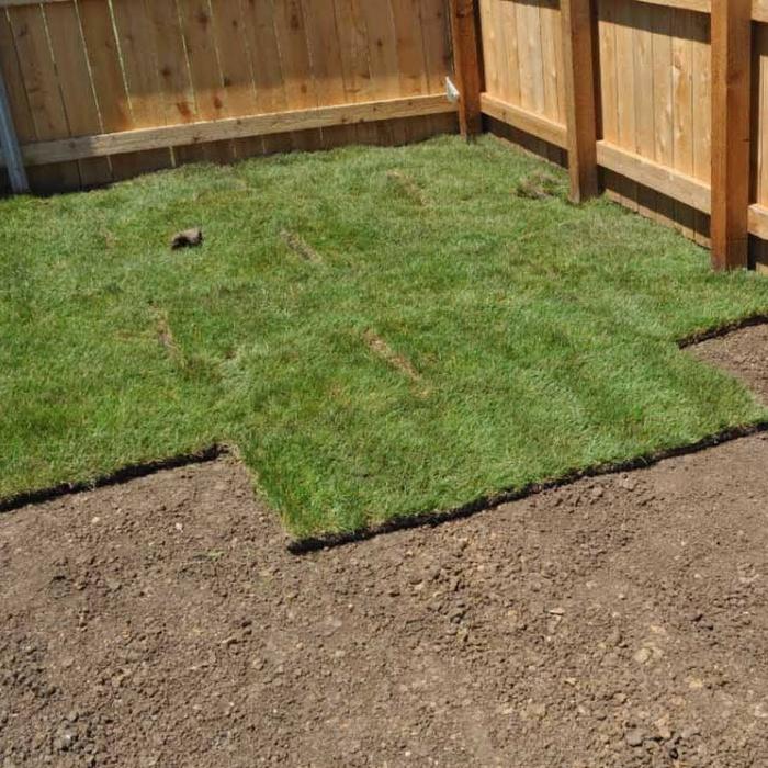 Lawn Care by Lars - Canoga Park, CA
