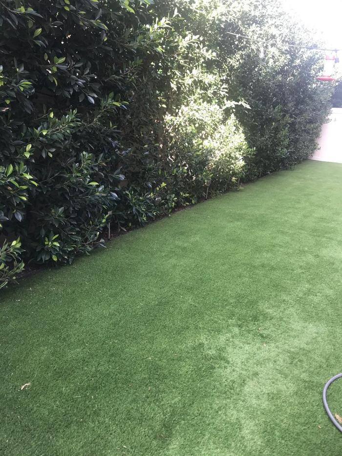 Lawn Care by Lars - Canoga Park, CA
