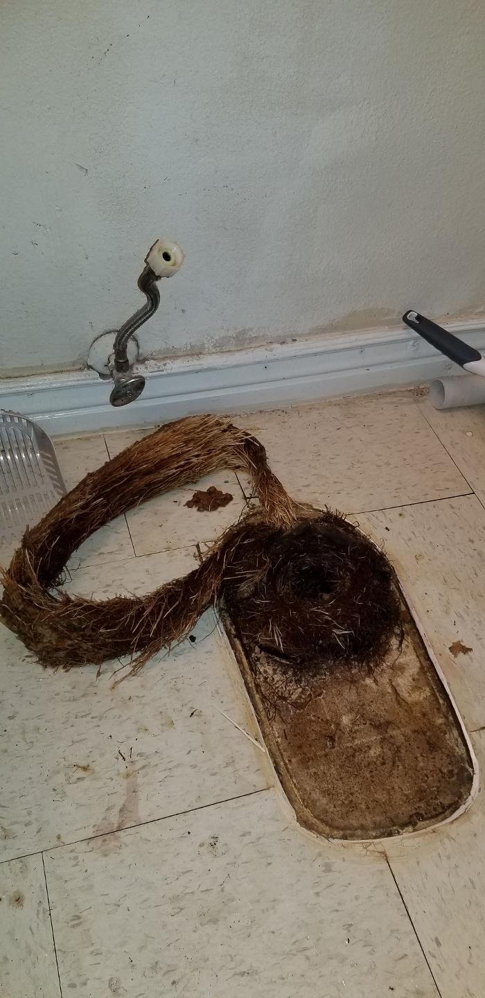 Lewis Plumbing & Drain Services, LLC Image