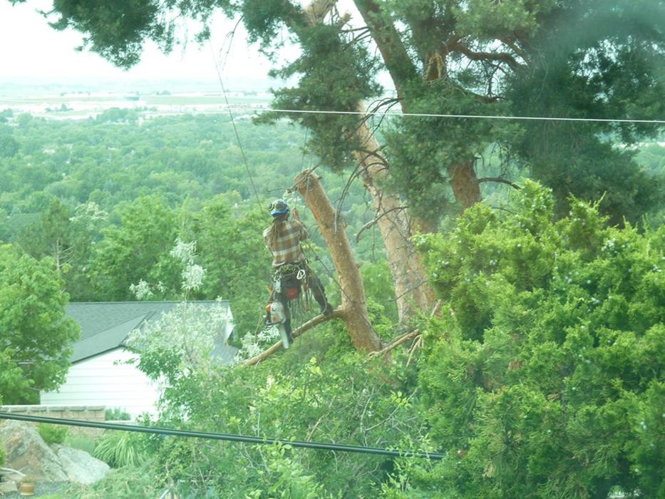 Majestic Tree Care - Meridian, ID