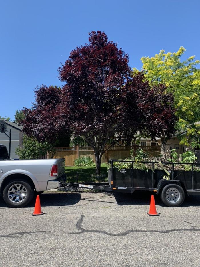 Majestic Tree Care - Meridian, ID