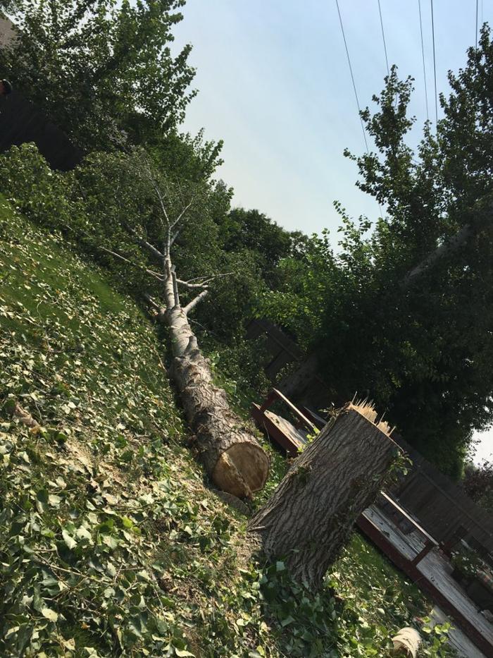 Majestic Tree Care - Meridian, ID