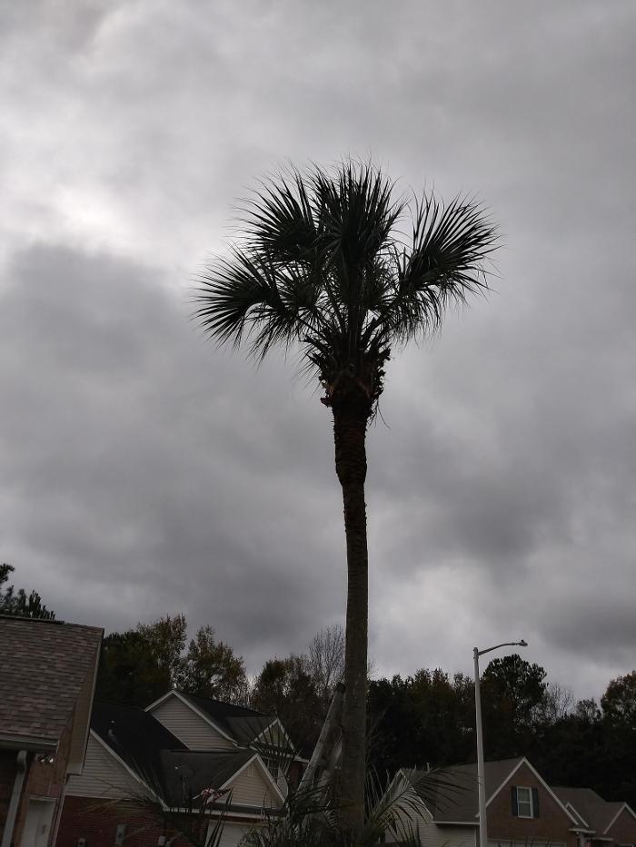 MoHop Enterprises - Gulfport, MS