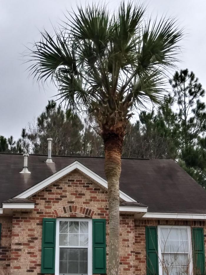 MoHop Enterprises - Gulfport, MS