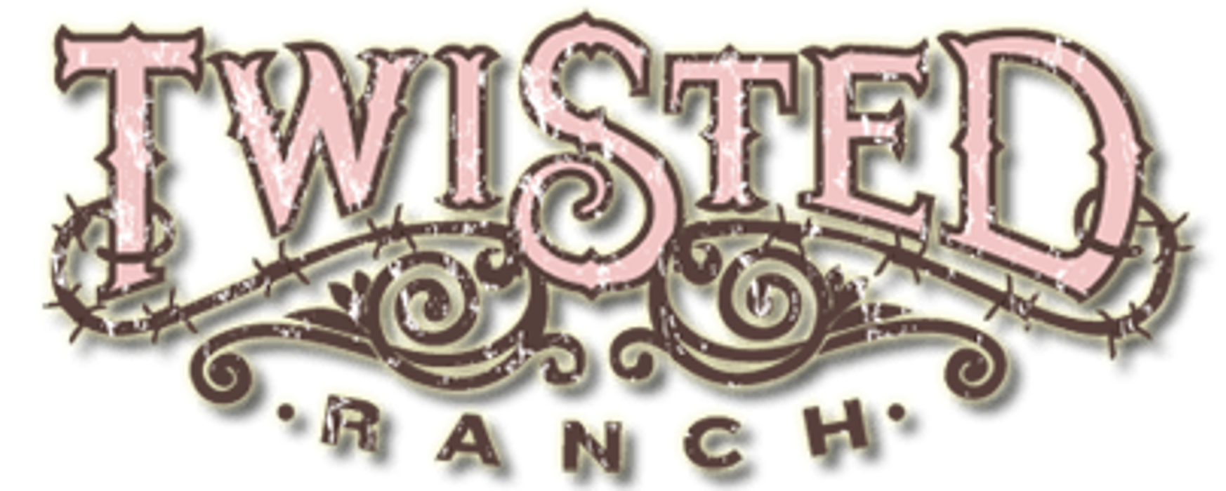 Twisted Ranch Weddings - Bertram, TX