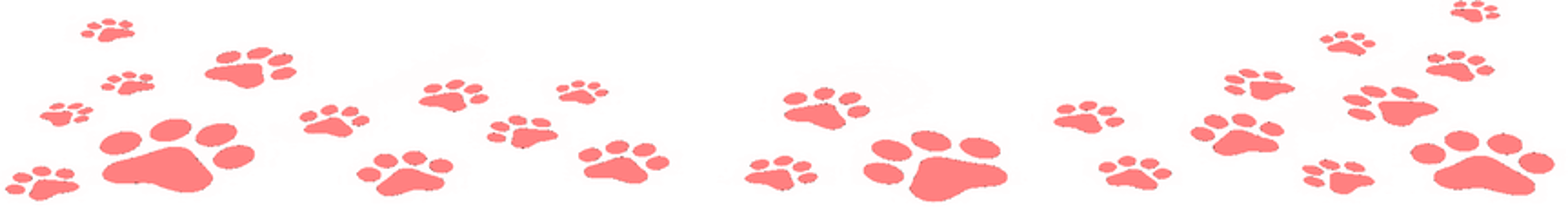 XoXo Doggy Hotel and Daycare - San Antonio, TX