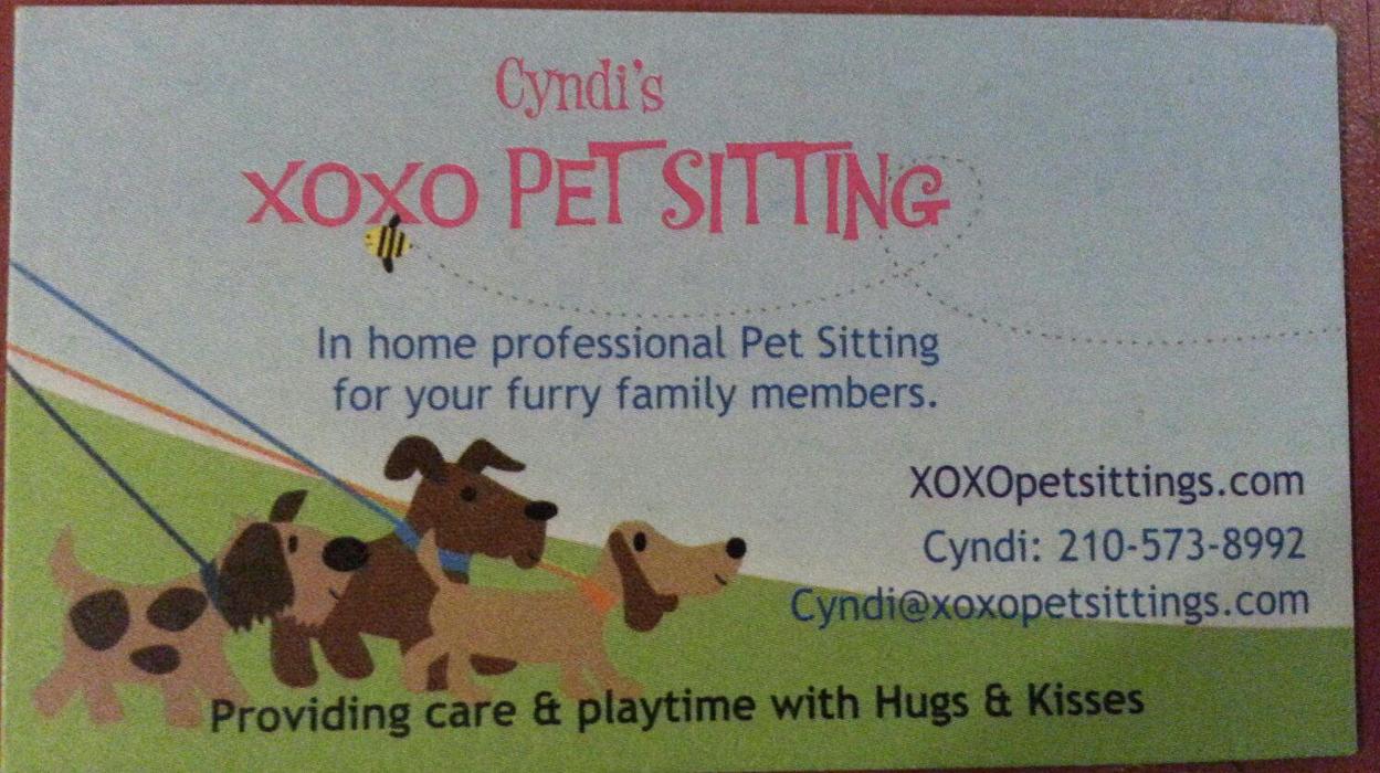 XoXo Doggy Hotel and Daycare - San Antonio, TX