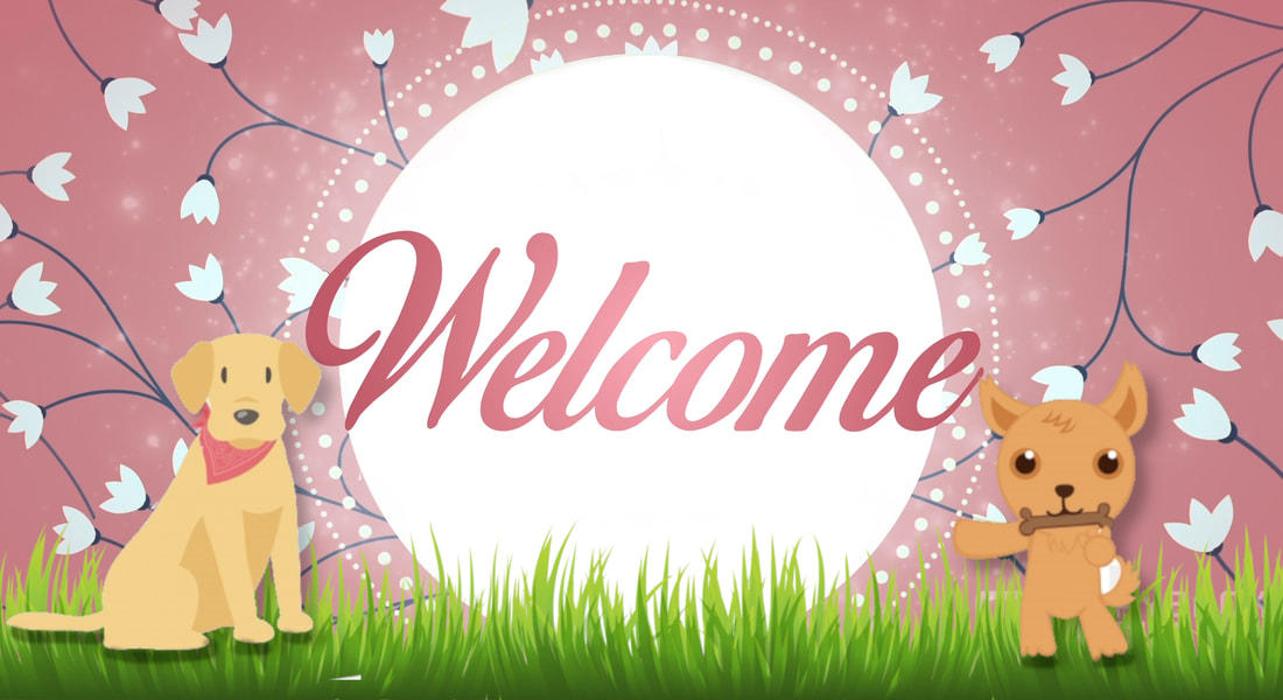 XoXo Doggy Hotel and Daycare - San Antonio, TX