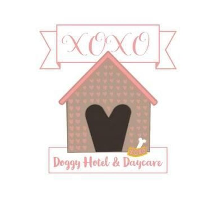 XoXo Doggy Hotel and Daycare - San Antonio, TX