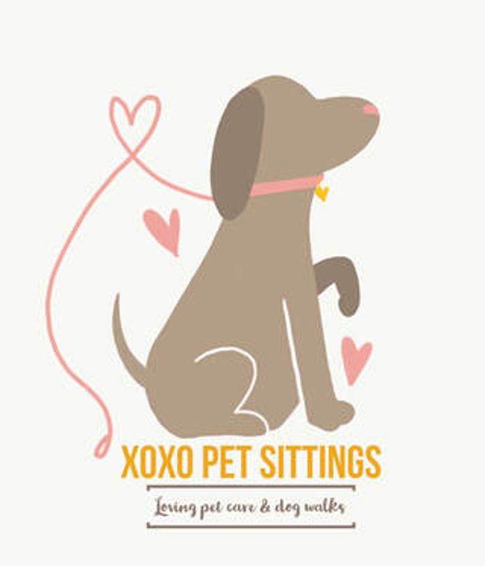 XoXo Doggy Hotel and Daycare - San Antonio, TX