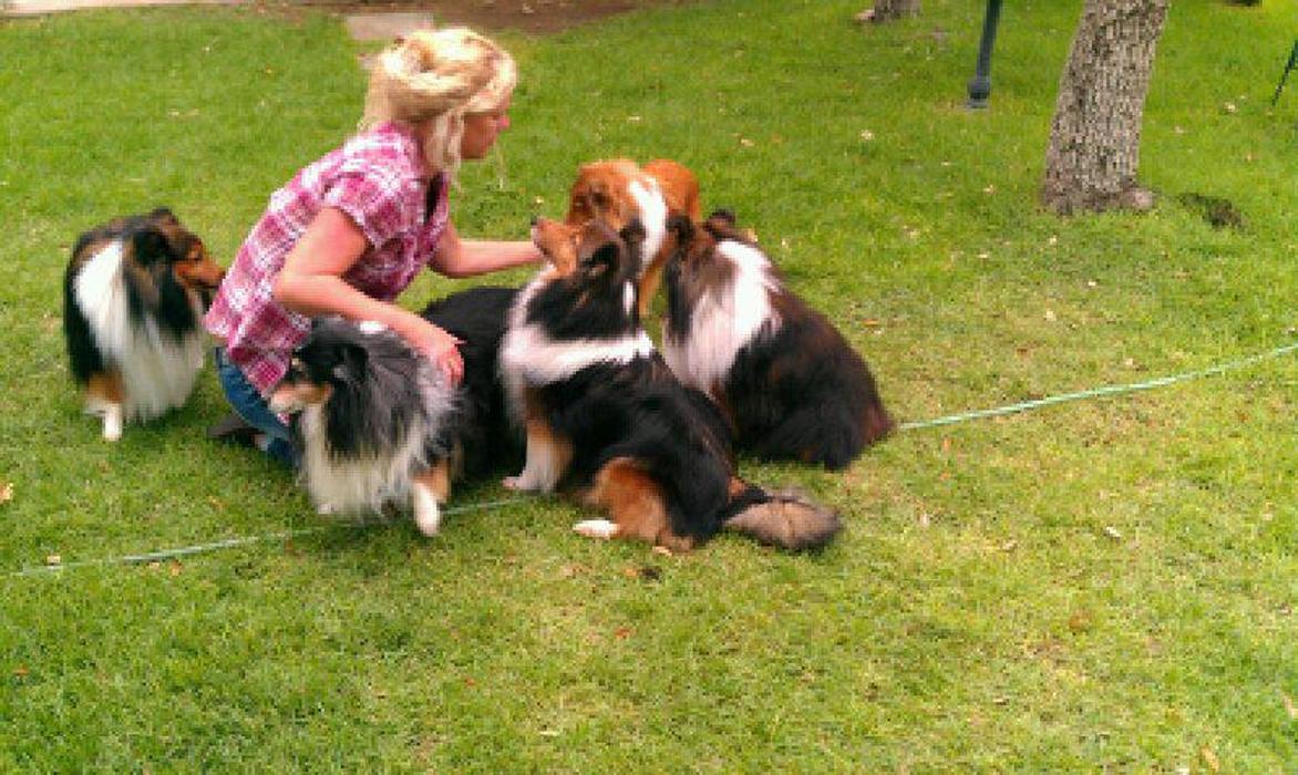 XoXo Doggy Hotel and Daycare - San Antonio, TX